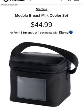 Medela Breast Milk Cooler Bag